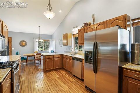 Tiny photo for 727 Pinon Ridge Drive, Woodland Park, CO 80863 (MLS # 4278518)