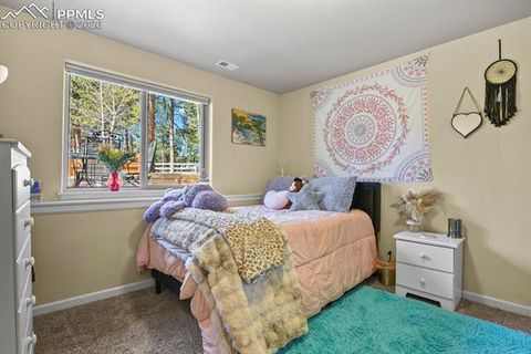Tiny photo for 600 Spruce Street, Woodland Park, CO 80863 (MLS # 5278297)
