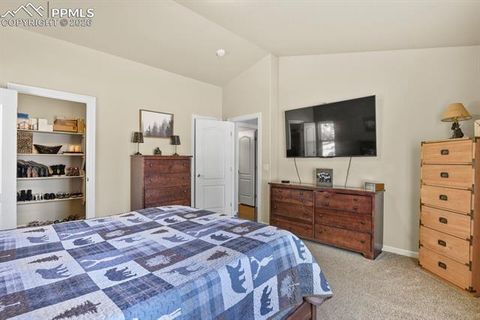 Tiny photo for 600 Spruce Street, Woodland Park, CO 80863 (MLS # 5278297)