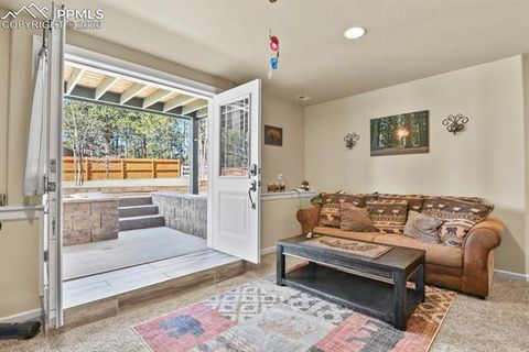 Tiny photo for 600 Spruce Street, Woodland Park, CO 80863 (MLS # 5278297)