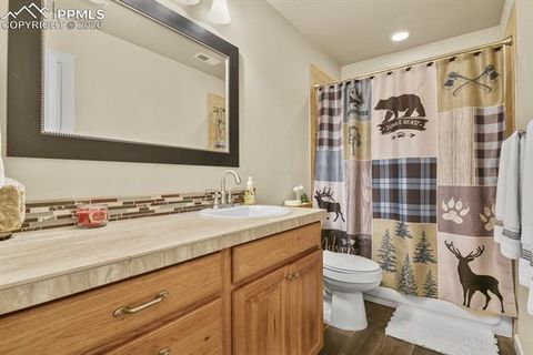 Tiny photo for 600 Spruce Street, Woodland Park, CO 80863 (MLS # 5278297)
