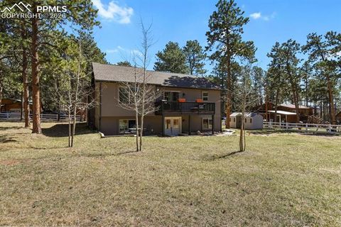 Tiny photo for 600 Spruce Street, Woodland Park, CO 80863 (MLS # 5278297)