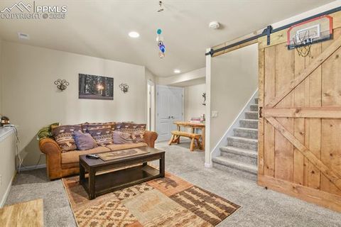 Tiny photo for 600 Spruce Street, Woodland Park, CO 80863 (MLS # 5278297)