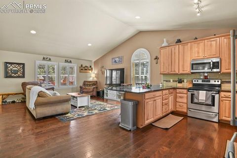 Tiny photo for 600 Spruce Street, Woodland Park, CO 80863 (MLS # 5278297)