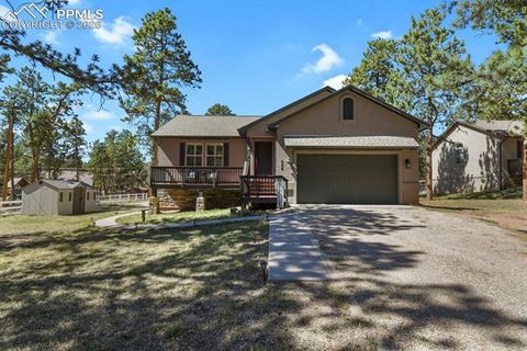 Photo of 600 Spruce Street, Woodland Park, CO 80863 (MLS # 5278297)