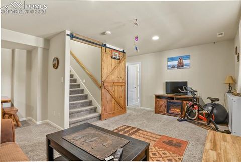 Tiny photo for 600 Spruce Street, Woodland Park, CO 80863 (MLS # 5278297)