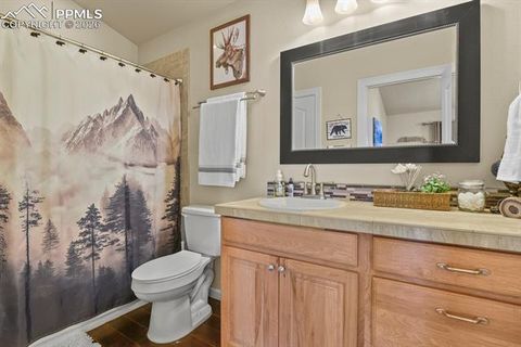 Tiny photo for 600 Spruce Street, Woodland Park, CO 80863 (MLS # 5278297)