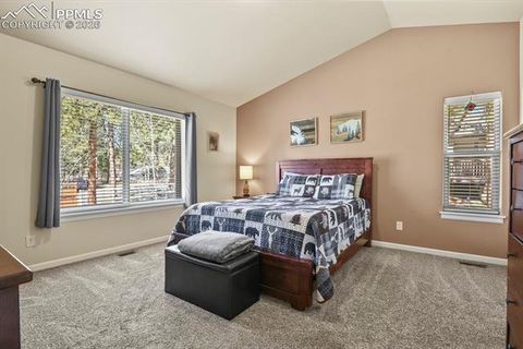 Tiny photo for 600 Spruce Street, Woodland Park, CO 80863 (MLS # 5278297)
