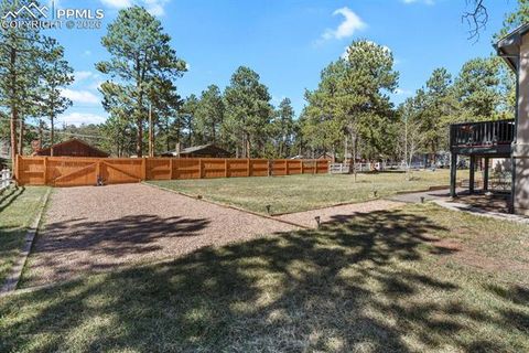 Tiny photo for 600 Spruce Street, Woodland Park, CO 80863 (MLS # 5278297)