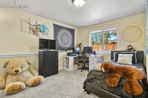 Tiny photo for 600 Spruce Street, Woodland Park, CO 80863 (MLS # 5278297)