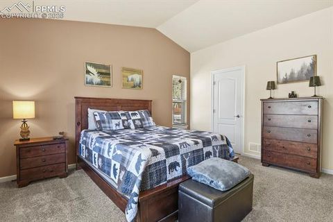 Tiny photo for 600 Spruce Street, Woodland Park, CO 80863 (MLS # 5278297)