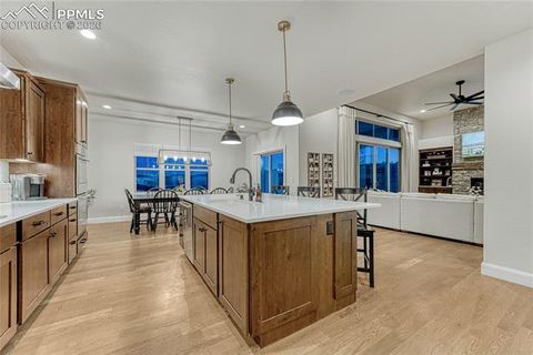 Tiny photo for 18762 Cherry Springs Ranch Drive, Monument, CO 80132 (MLS # 6898924)