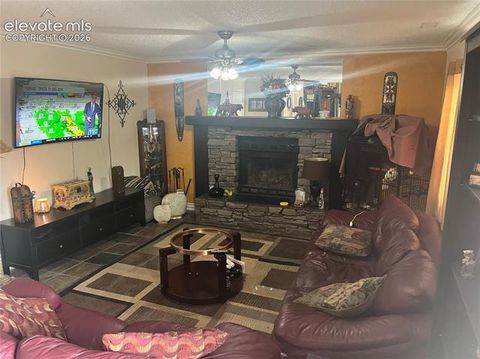 Tiny photo for 3910 Rosemere Street, Colorado Springs, CO 80906 (MLS # 9991716)