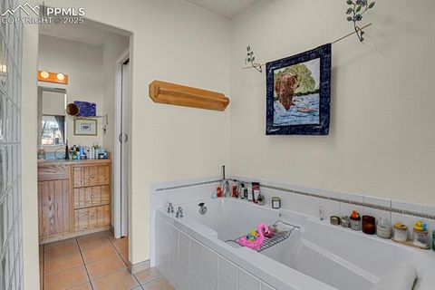 Tiny photo for 728 E High Street, Colorado Springs, CO 80903 (MLS # 7931142)