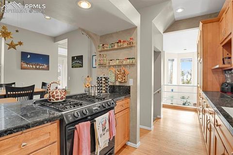 Tiny photo for 728 E High Street, Colorado Springs, CO 80903 (MLS # 7931142)