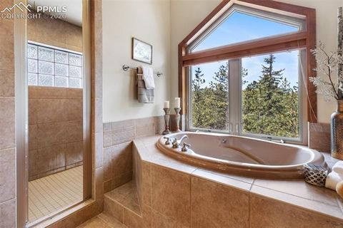 Tiny photo for 775 Skyline Drive, Woodland Park, CO 80863 (MLS # 8310570)