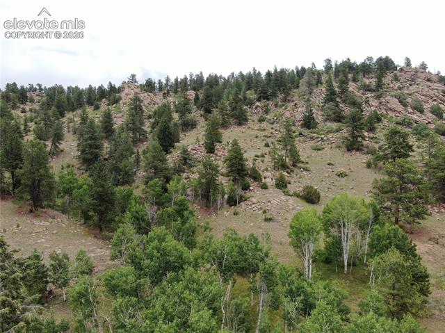 Photo 1 of 6 — 76 Crocus Circle, Florissant, CO 80816
