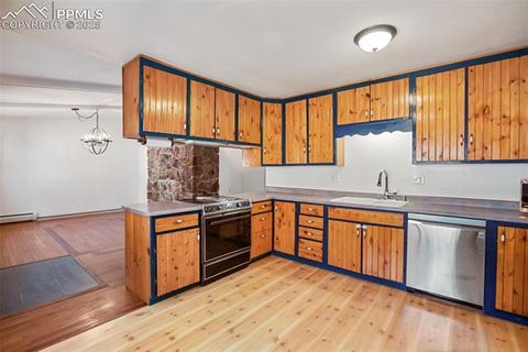 Tiny photo for 1148 Park View Road, Woodland Park, CO 80863 (MLS # 4527050)