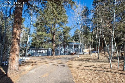 Tiny photo for 1148 Park View Road, Woodland Park, CO 80863 (MLS # 4527050)