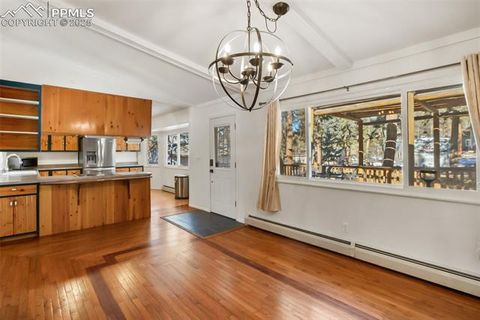 Tiny photo for 1148 Park View Road, Woodland Park, CO 80863 (MLS # 4527050)