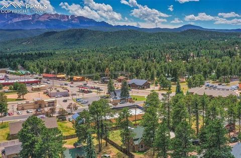 Tiny photo for 401 E Midland Avenue, Woodland Park, CO 80863 (MLS # 8029992)