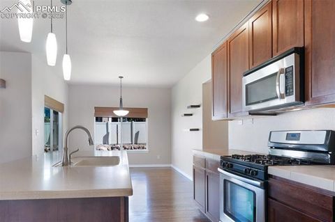 Tiny photo for 7977 Mount Huron Trail, Colorado Springs, CO 80924 (MLS # 4823310)