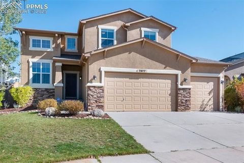 Photo of 7977 Mount Huron Trail, Colorado Springs, CO 80924 (MLS # 4823310)