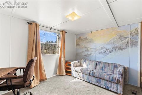 Tiny photo for 374 Fern Road, Woodland Park, CO 80863 (MLS # 1308159)