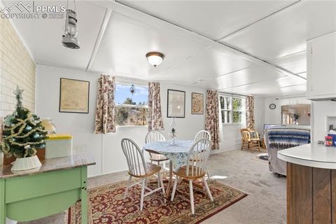 Tiny photo for 374 Fern Road, Woodland Park, CO 80863 (MLS # 1308159)