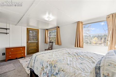 Tiny photo for 374 Fern Road, Woodland Park, CO 80863 (MLS # 1308159)