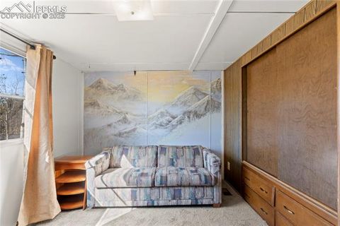 Tiny photo for 374 Fern Road, Woodland Park, CO 80863 (MLS # 1308159)