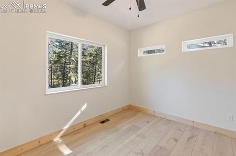 Tiny photo for 270 Southpark Road, Florissant, CO 80816 (MLS # 3963139)