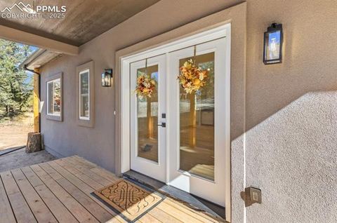 Tiny photo for 270 Southpark Road, Florissant, CO 80816 (MLS # 3963139)