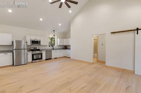 Tiny photo for 270 Southpark Road, Florissant, CO 80816 (MLS # 3963139)