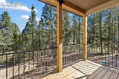 Tiny photo for 270 Southpark Road, Florissant, CO 80816 (MLS # 3963139)