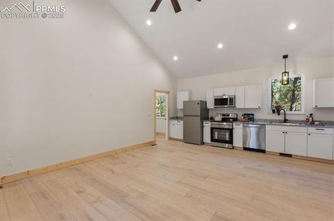 Tiny photo for 270 Southpark Road, Florissant, CO 80816 (MLS # 3963139)