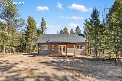 Photo of 270 Southpark Road, Florissant, CO 80816 (MLS # 3963139)