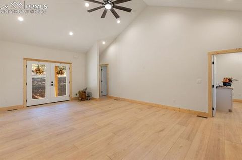 Tiny photo for 270 Southpark Road, Florissant, CO 80816 (MLS # 3963139)