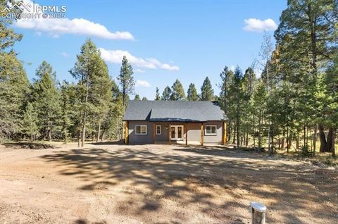 Tiny photo for 270 Southpark Road, Florissant, CO 80816 (MLS # 3963139)