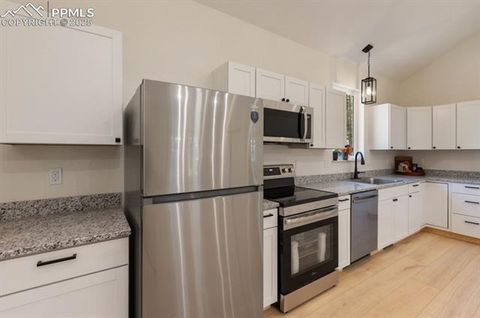 Tiny photo for 270 Southpark Road, Florissant, CO 80816 (MLS # 3963139)