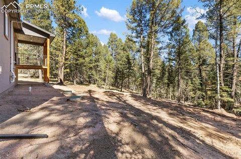 Tiny photo for 270 Southpark Road, Florissant, CO 80816 (MLS # 3963139)