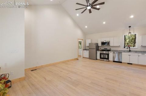 Tiny photo for 270 Southpark Road, Florissant, CO 80816 (MLS # 3963139)