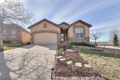 Photo of 2703 Crooked Vine Court, Colorado Springs, CO 80921 (MLS # 7336367)