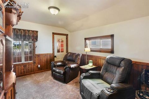 Tiny photo for 123 W Masonic Avenue, Cripple Creek, CO 80813 (MLS # 5092647)