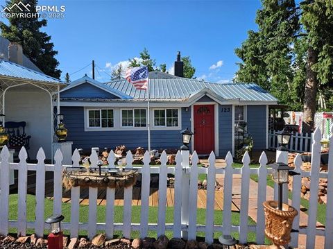 Tiny photo for 123 W Masonic Avenue, Cripple Creek, CO 80813 (MLS # 5092647)
