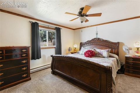 Tiny photo for 123 W Masonic Avenue, Cripple Creek, CO 80813 (MLS # 5092647)