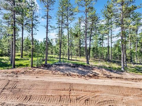 Photo of 14371 Allen Ranch Road, Colorado Springs, CO 80908 (MLS # 8766765)