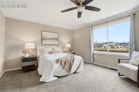 Tiny photo for 7678 Old Spec Road, Peyton, CO 80831 (MLS # 8656936)