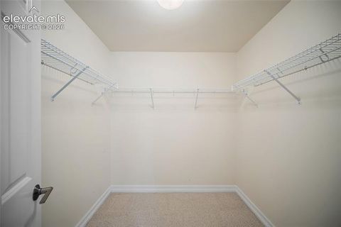 Tiny photo for 3135 Deergrass Place, Colorado Springs, CO 80920 (MLS # 1833848)