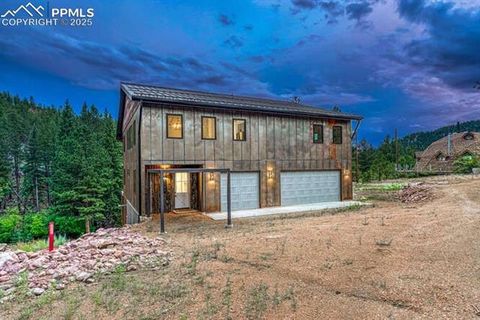 1282 N Crystal Road Lake George CO 80827